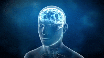 Beynin Gizemlerinin Kilidini Açmak: Bilginizi test etmek için Bu Anatomi ve Fizyoloji Sınavına Katılın!