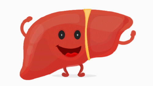 Karaciğerin Anatomisi ve Fizyolojisi Quiz'i: Bu hayati organ hakkında ne kadar bilgi sahibisiniz?