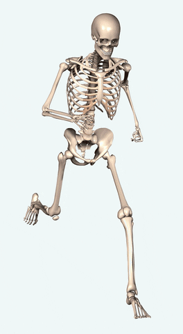 Kas İskelet Sistemi Quiz'i: Kemikleriniz ve kaslarınız hakkında ne kadar bilgi sahibisiniz?